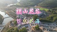 揭西县樱山花谷是粤东第一个以樱花为主题的特色乡村休闲旅游景区，景区依山傍水、山清水秀，当花季来临，景区便成为一片缤纷花海，满园芳香而艳丽，让人沉醉。