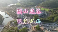 揭西县樱山花谷是粤东第一个以樱花为主题的特色乡村休闲旅游景区，景区依山傍水、山清水秀，当花季来临，景区便成为一片缤纷花海，满园芳香而艳丽，让人沉醉。