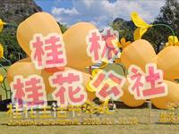 打卡桂林桂花公社