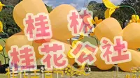 打卡桂林桂花公社