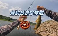 探钓丹东水丰湖