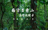 行走的风景：南宁青秀山治愈式徒步