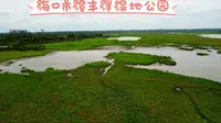 海口市潭丰洋湿地公园免费景点，原生态自然景区，露营的好去处