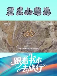 跟着书本去旅行 | 巍巍贺兰山——贺兰山岩画