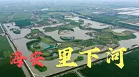 鹰眼看世界162-江苏海安·里下河湿地公园（湖荡相连，水网稠密，湿地密布）
