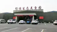 盐城杨侍生态园