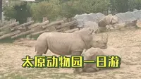 太原动物园一日游，翻新的太原动物园太漂亮了，动物生存环境非常之好，希望大家好好保护野生动物，不要购买野生动物制品，保护野生动物人人有责