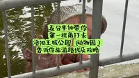 五分半钟，带你第一视角打卡洛阳王城公园洛阳动物园，告诉你旅游路线及旅游攻略，看看能看到哪些小动物，如果你是带孩子来洛阳旅游的，这个地方不要错过！