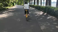 武汉东湖湖畔骑行