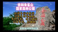 吉林朱雀山国家森林公园旅游攻略