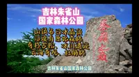 吉林朱雀山国家森林公园旅游攻略