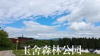 贵州 六盘水 Vlog 玉舍森林公园