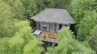 江西赣州虔心小镇，住进竹林半山木屋，就像走进童话世界