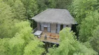 江西赣州虔心小镇，住进竹林半山木屋，就像走进童话世界