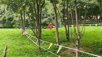 耳闸公园