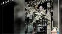 一起来看看萍乡博物馆吧