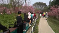 四川自贡尖山风景区迷你火车