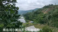 普洱南岛河小箐田天玉庄咖啡园