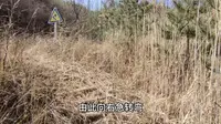 崛围山登山步道的尽头处竟然是这样的，很多人都没有见过