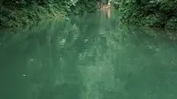 青城后山 翠映湖   山间小湖