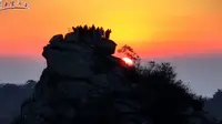行走河南·读懂中国 | 信阳鸡公山景区：总有一场日出和山海值得奔赴！