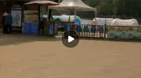 10分钟速通昆明大观公园