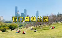 大年初四，南宁石门森林公园游玩，可惜樱花没有全开！
