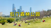 大年初四，南宁石门森林公园游玩，可惜樱花没有全开！