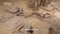 《探索·发现》 20221229 天子驾六发现记