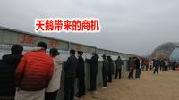 曾经善待6只天鹅，如今丹东大洋河变景区，老乡来卖货热闹像赶集