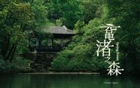 【4K】【TVLog 006】鼋渚之森 —— 没有樱花的无锡鼋头渚还值得去吗？