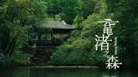 【4K】【TVLog 006】鼋渚之森 —— 没有樱花的无锡鼋头渚还值得去吗？