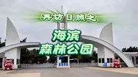 再访日照之—海滨森林公园