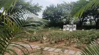 包场游:-)花都宝桑园