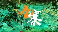 九寨归来不看水，果然名不虚传｜8月丰水期的九寨沟，你值得拥有！