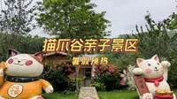 在肇庆，发现一个让娃“乐不思蜀”的猫爪谷！遛娃圣地，体验超预期！暑期抢鲜玩！