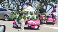 烟台养马岛环岛游你选择啥样交通工具