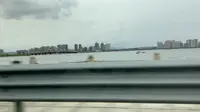 【沉浸式】阴天漫游养马岛