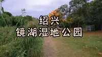 绍兴镜湖湿地公园，人不多，景很美，还有一个宝藏酒店