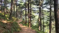 和我一起走桃花峪的路线下泰山吧