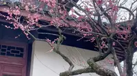 杭州虎跑公园