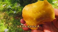 来这里採摘黄金油桃——石林万家欢生态园