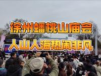 徐州蟠桃山庙会首日，人潮如织，热度爆棚。从五湖四海赶来的游客齐聚，这不仅是庙会的盛景，更是徐州旅游火爆的有力见证。我很好奇，现场到底有没有一亿人？