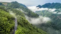 安吉大竹海