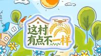 闯入秦岭脚下上王村｜随机颜色任务爆笑全开