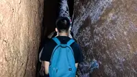 武夷山一线天的蝙蝠 不看不知道一看吓一跳 儿子特意带了手电筒打灯一探究竟 还是很震撼的！