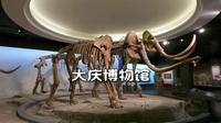 五分钟带您全程参观大庆博物馆，改变刻板印象认识不一样的大庆