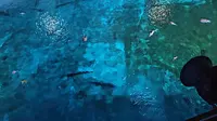 曲江极地馆游览记录（时长太长了，所以爬行馆，海洋馆，极地馆，分开来，）
