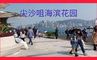 漫步尖沙咀海滨花园