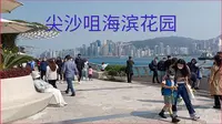 漫步尖沙咀海滨花园